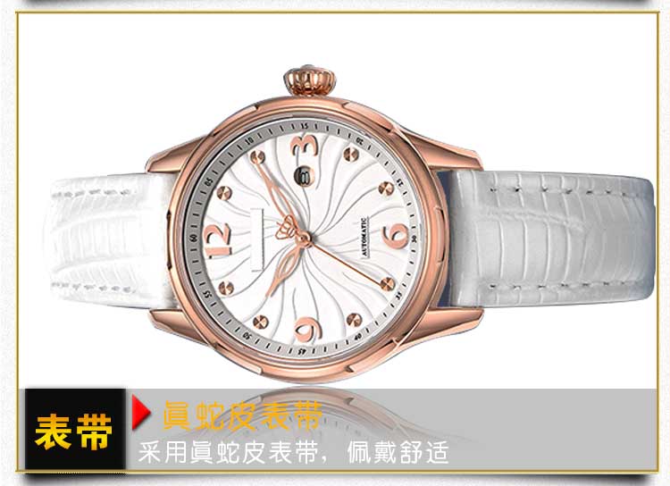 批量定制女士機(jī)械手表_穩(wěn)達(dá)時(shí)工廠直銷