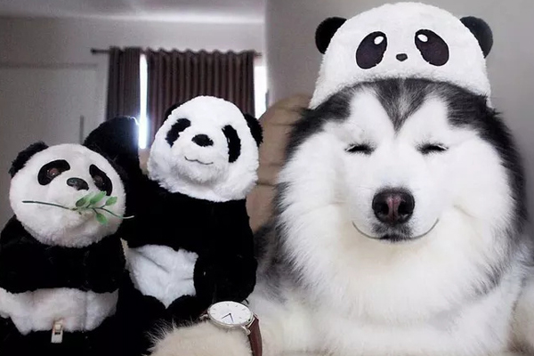 穩(wěn)達(dá)時(shí)手表生產(chǎn)廠,品質(zhì)在線款式很頑皮