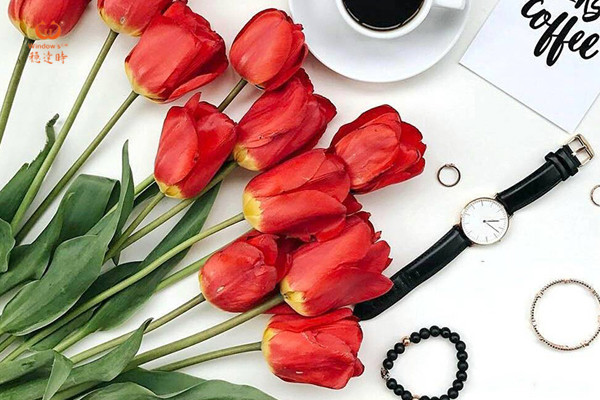 穩(wěn)達時手表廠家 批發(fā)優(yōu)質(zhì)石英方水女士手表